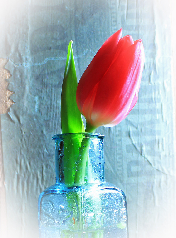 It only takes&nbsp;ONE!